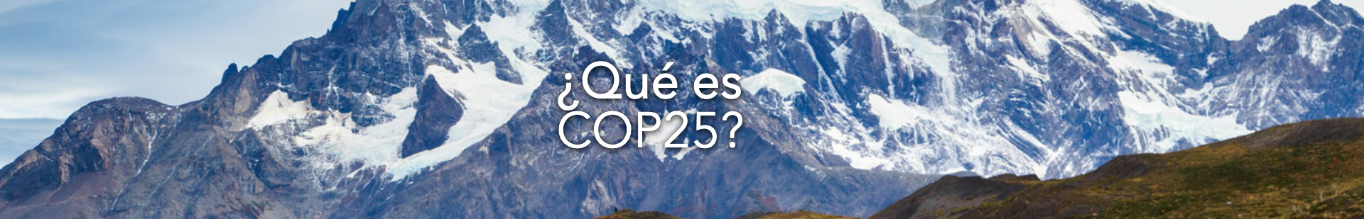 que es COP25