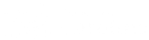 Fundación Carolina, logo conmemorativo de su vigésimo aniversario