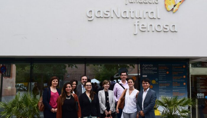EFE Gas Natural 2016