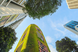 Empresas y ODS junio 2025 (1)