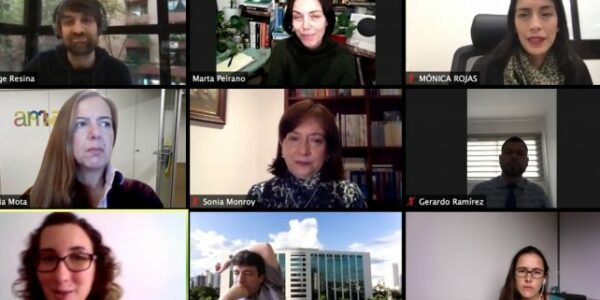 Foto cuarta sesión programa liderazgo público iberoamericano 2020