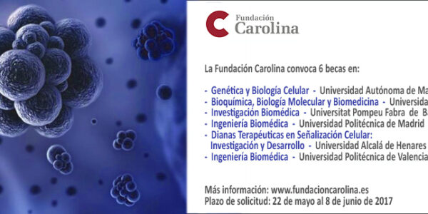 Becas Fundación Carolina CNIC