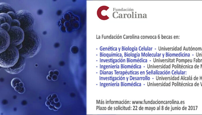 Becas Fundación Carolina CNIC