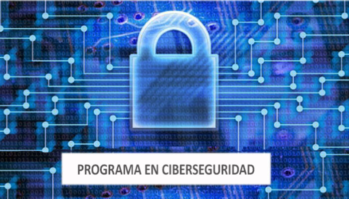 programa ciberseguridad